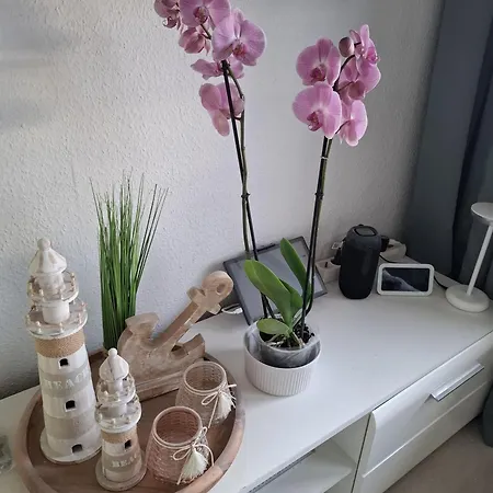 Optimist Prime 5329 Marina Daire *