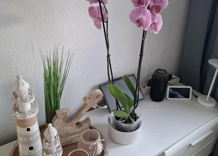 Optimist Prime 5329 Marina Apartamento *